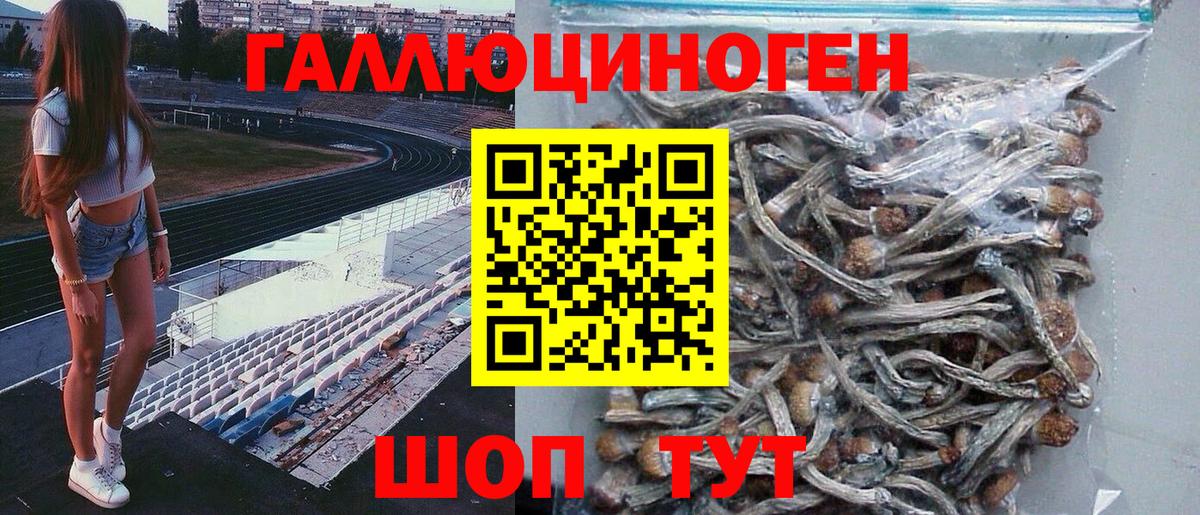 Галлюциногенные грибы Psilocybine cubensis Казань