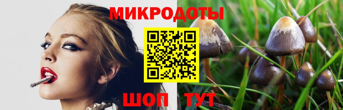 Казань  Псилоцибиновые грибы ЛСД  Вход с VPN 